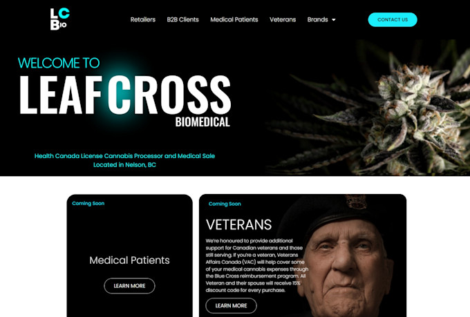 design a modern and responsive wordpress website using elementor pro